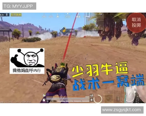 和平精英战术解析：全面剖析JDG如何实现对敌方的有效压制