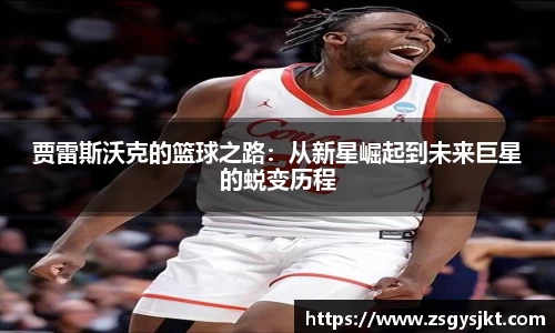 乐发vll官网
